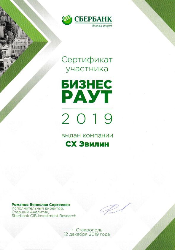 Сертификат участника БИЗНЕС РАУТ 2019